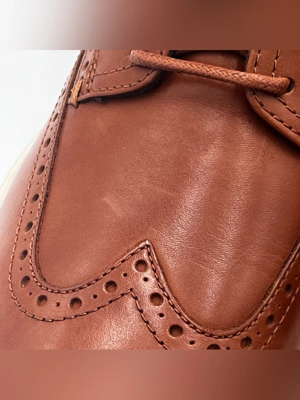 Cole Haan Grand Brown Leather Wingtip Oxford  Shoe Men’s Size 8